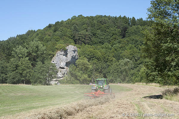 agriculture